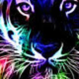 Meet your Posher, Harmony